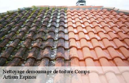Nettoyage demoussage de toiture  comps-30300 Artisan Espinos
