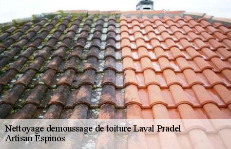 Nettoyage demoussage de toiture  laval-pradel-30110 Artisan Espinos