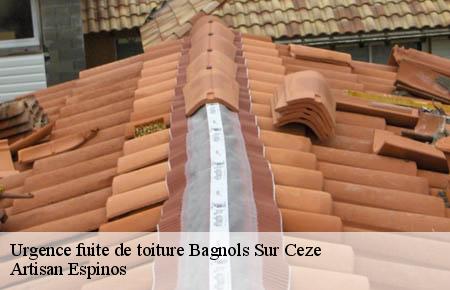 Urgence fuite de toiture  bagnols-sur-ceze-30200 Artisan Espinos