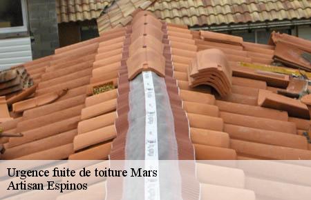 Urgence fuite de toiture  mars-30120 Artisan Espinos